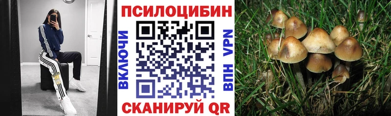 нарко площадка состав  Наволоки  Псилоцибиновые грибы Magic Shrooms 